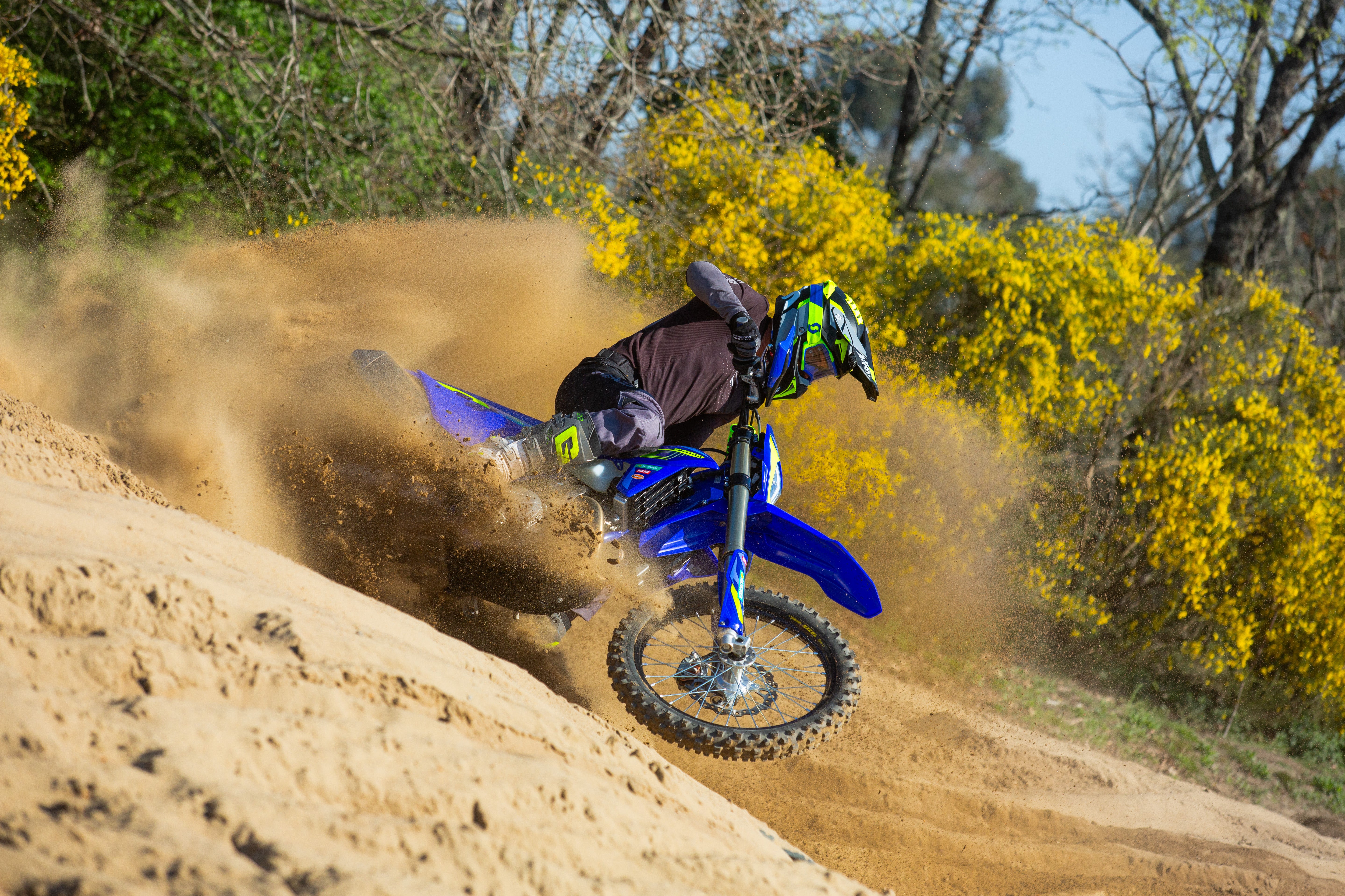 450 SEF-FACTORY 2026
